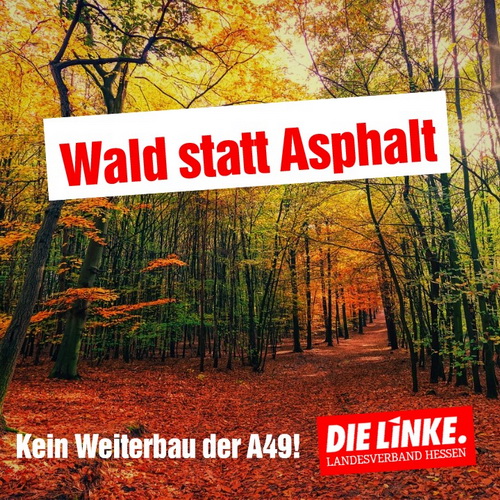 Wald statt Asphalt!